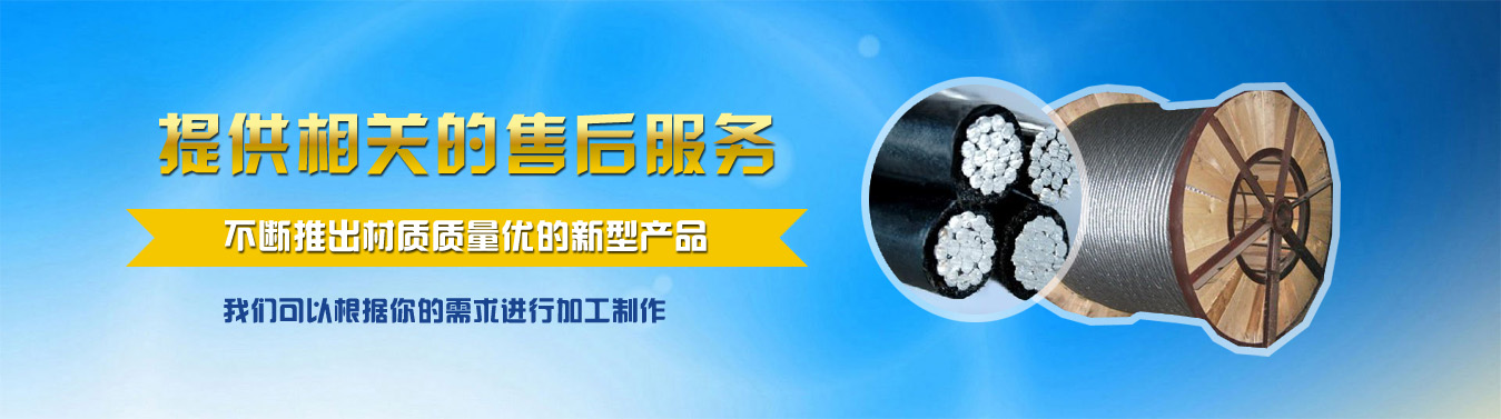 河北安通電線(xiàn)電纜有限公司